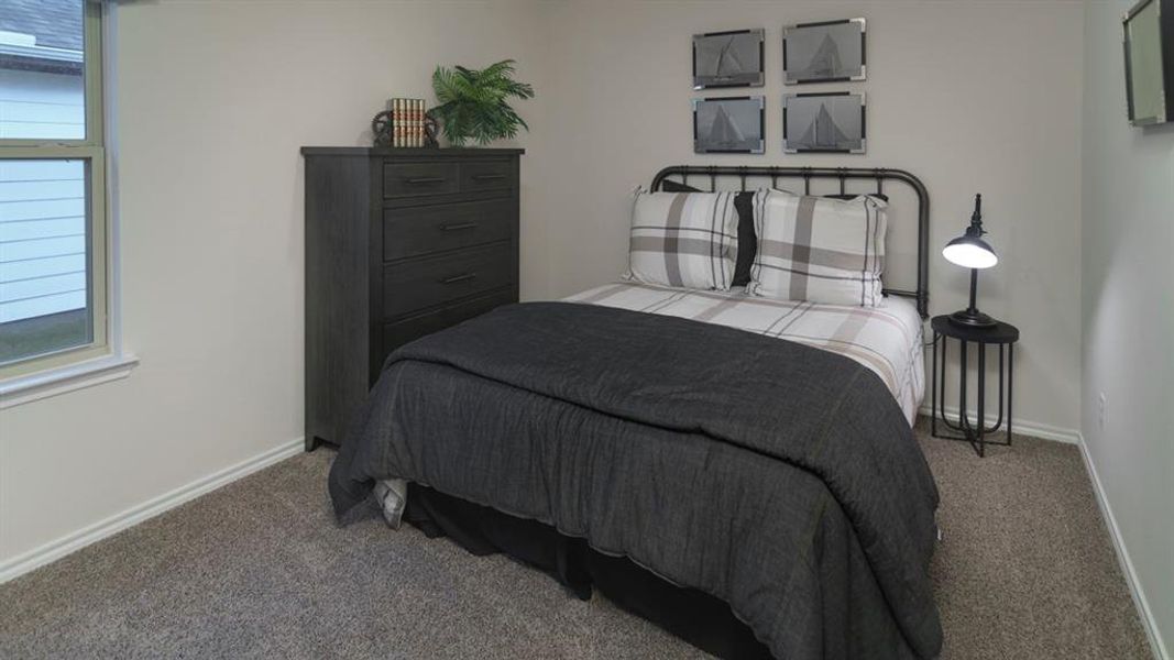 Carpeted room with a double-paned window, neutral wall paint, and white trim Carpeted room with a double-paned window, neutral wall paint, and white trim