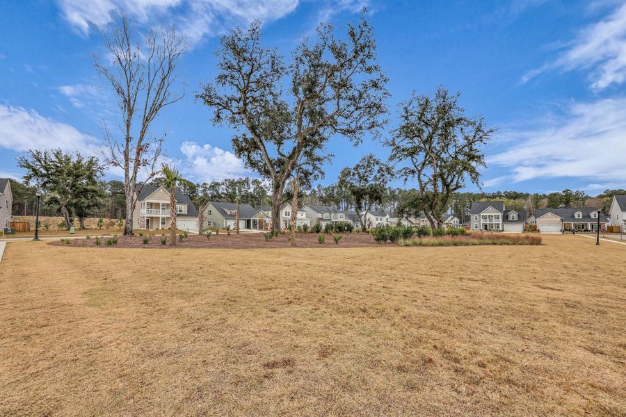 Natural landscape and outdoor views near Sweetgrass at Summers Corner: Carolina Collection in Summerville (Image 49).