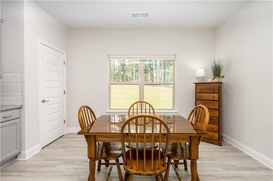 Furnished interior view inside a new home in , Maysville (Image 33).