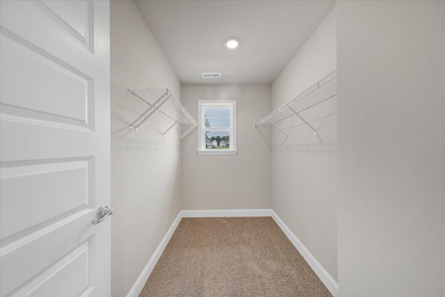 Spacious, unfurnished interior of a new home in Scarlett Place, Bowdon (Image 34).