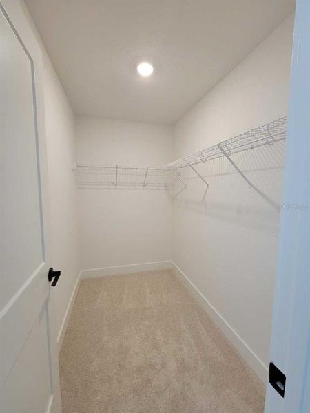 Spacious, unfurnished interior of a new home in Ocala Crossings South, Ocala (Image 14).