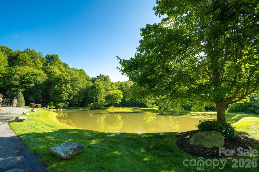 Natural landscape and outdoor views near  in Boone (Image 13).