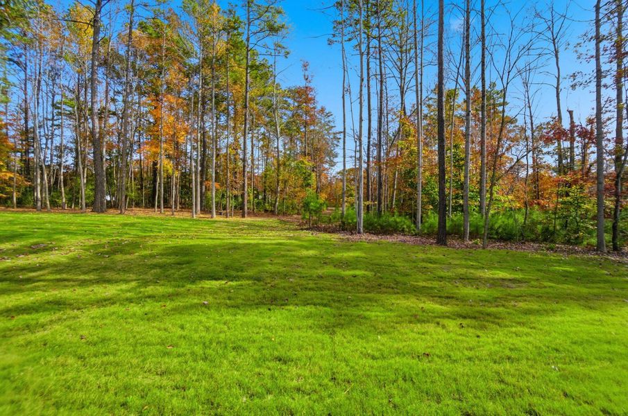Natural landscape and outdoor views near Rone Creek in Waxhaw (Image 84).