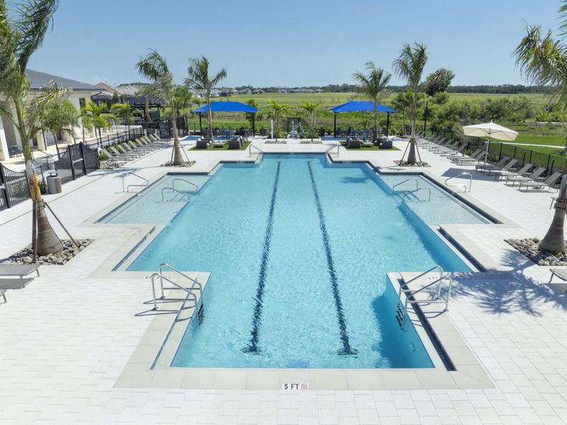 Community amenities associated with the Ocean Front by Neal Communities in Vistera of Venice, Nokomis (Image 16). Community amenities associated with the Ocean Front by Neal Communities in Vistera of Venice, Nokomis (Image 16).