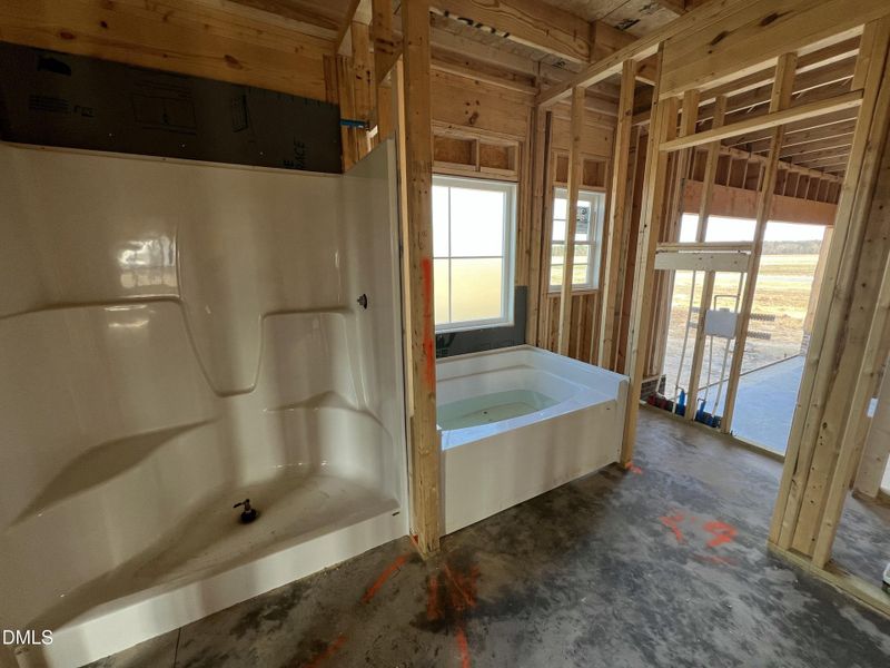 IMG_7476 2 IMG_7476 2