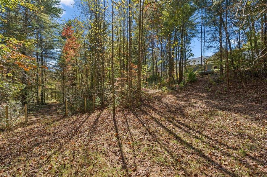 Natural landscape and outdoor views near in Dahlonega (Image 31). Natural landscape and outdoor views near in Dahlonega (Image 31).