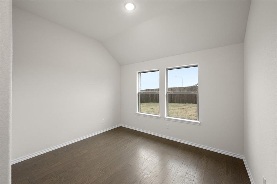 4541 Lyre Leaf- Flex Space