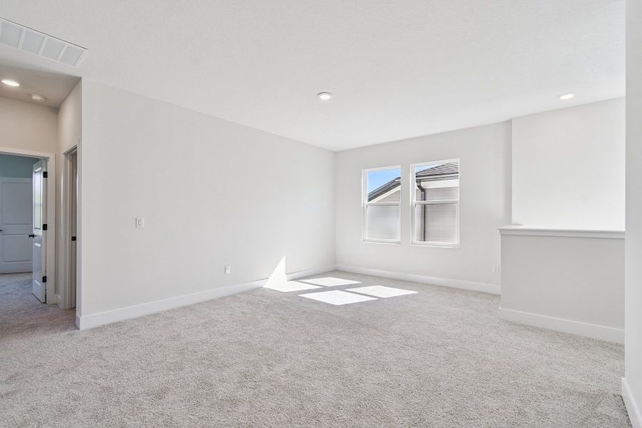 The Sneed - Bonus The Sneed - Bonus