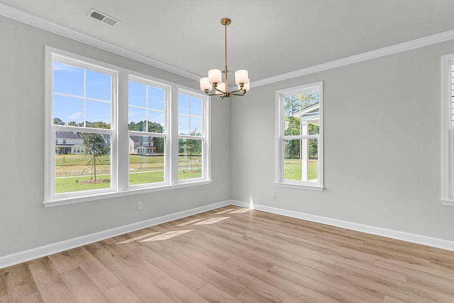 Spacious, unfurnished interior of a new home in Pineland Preserve, Summerville (Image 28).