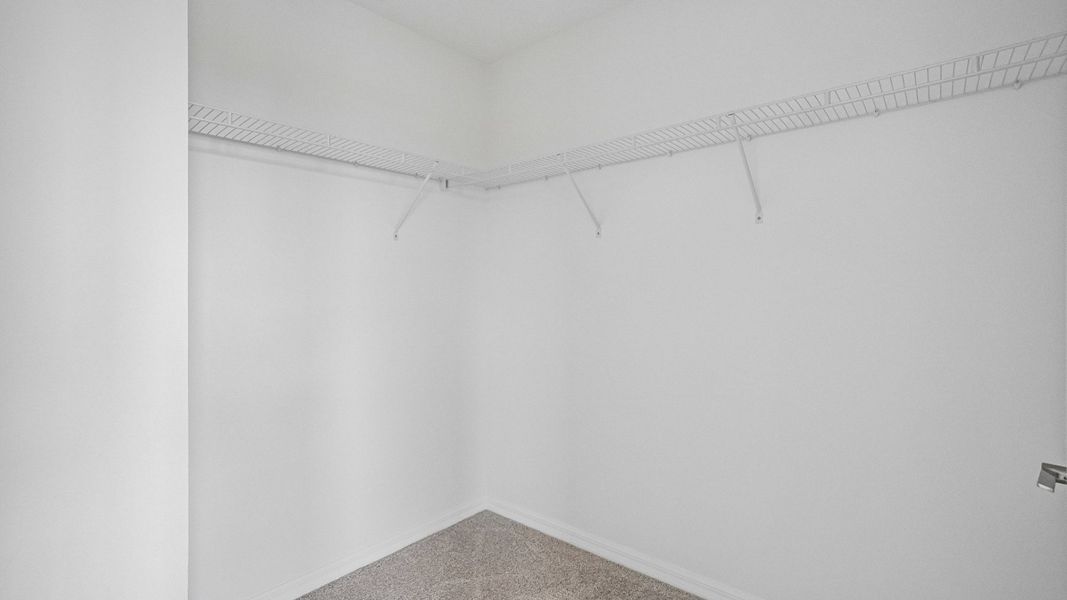 The Primary Closet