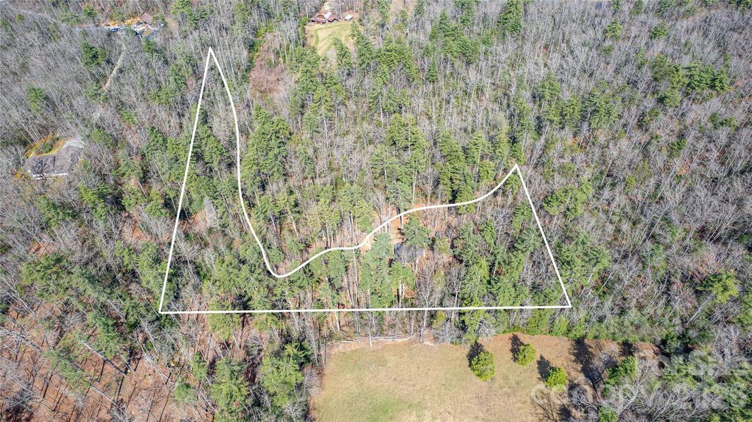 Natural landscape and outdoor views near  in Brevard (Image 22).