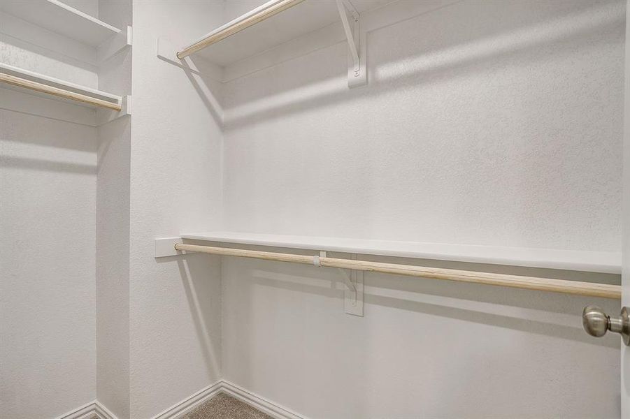Walk in closet featuring carpet