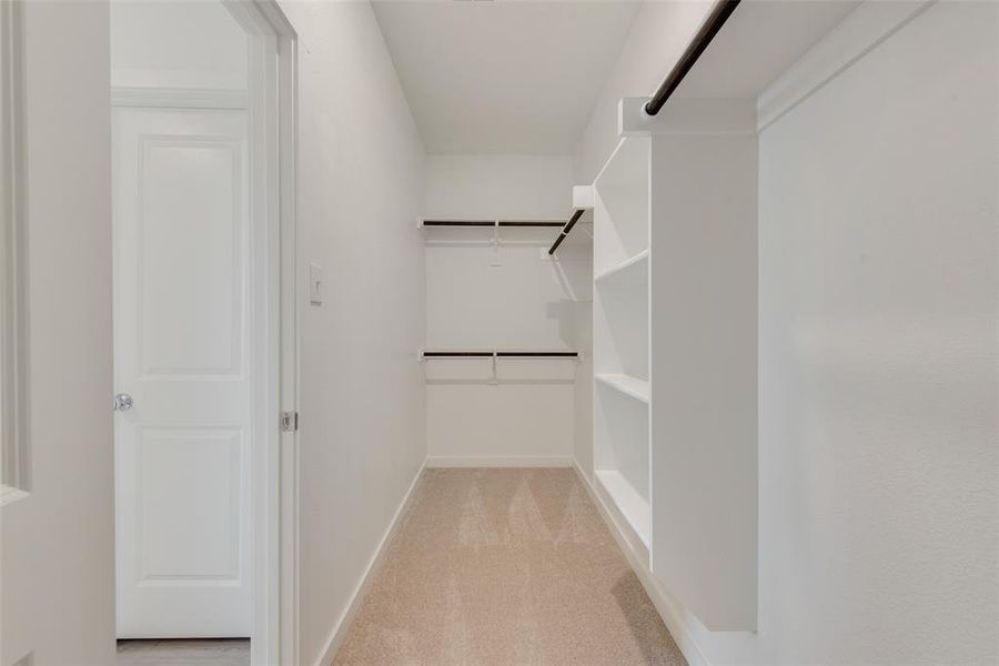 Spacious closet with light carpet