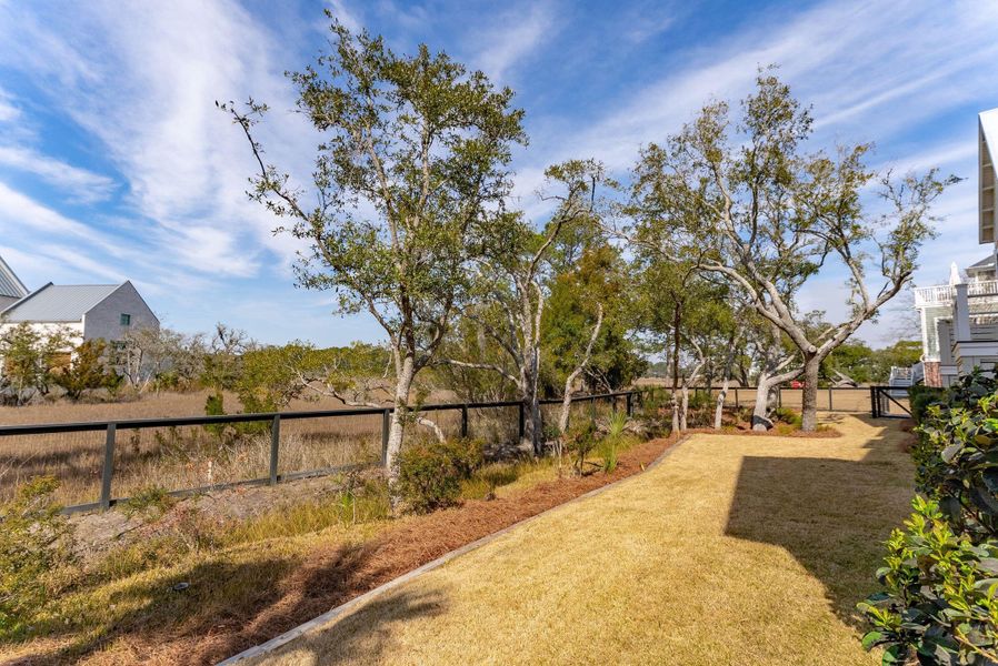 Natural landscape and outdoor views near Daniel Island Park in Charleston (Image 65).