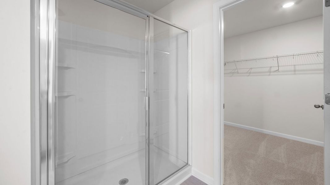 Spacious, unfurnished interior of a new home in Bedford Place, Wilson (Image 19). Spacious, unfurnished interior of a new home in Bedford Place, Wilson (Image 19).