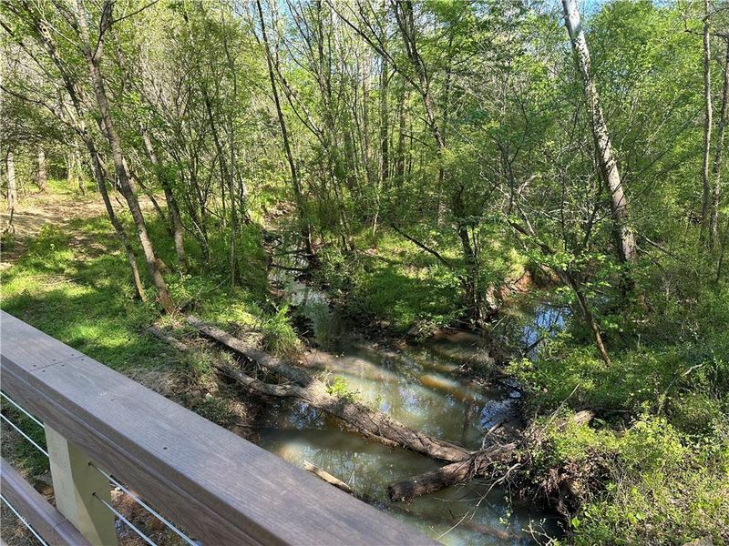 Natural landscape and outdoor views near Silverwood in Cumming (Image 15).