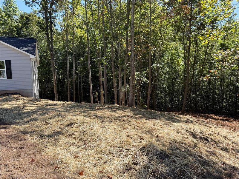 Natural landscape and outdoor views near  in Mount Airy (Image 20).