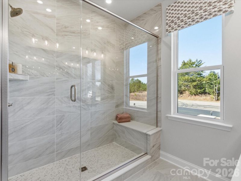 York Plan Model Photos York Plan Model Photos