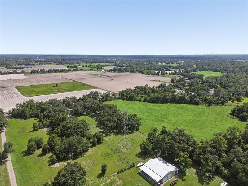Natural landscape and outdoor views near in Plant City (Image 59). Natural landscape and outdoor views near in Plant City (Image 59).
