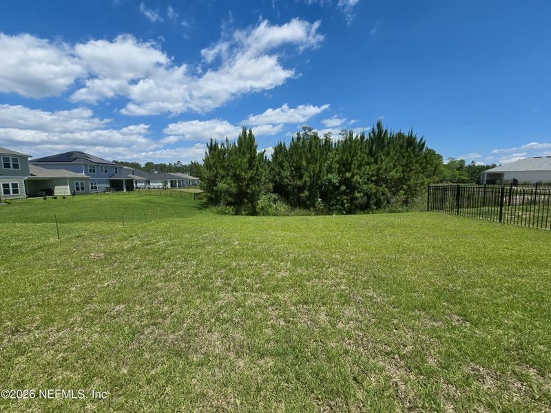 Natural landscape and outdoor views near Hyland Trail in Green Cove Springs (Image 65).