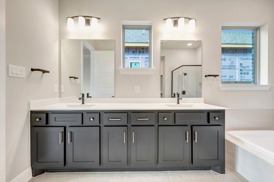 Owner's Bath