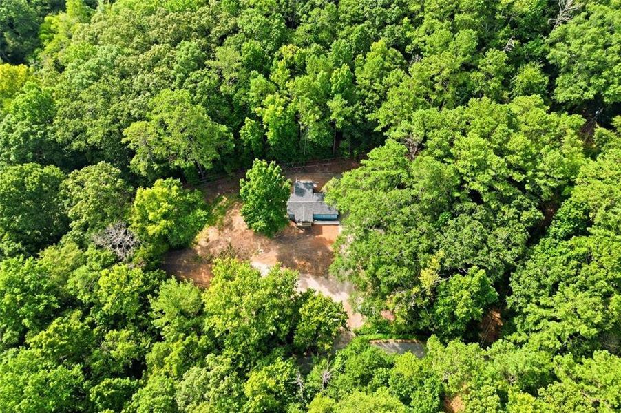 Natural landscape and outdoor views near  in Conyers (Image 24).