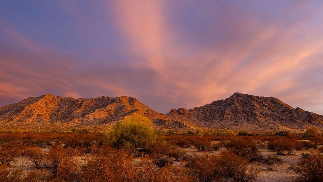 Natural landscape and outdoor views near Ladera Trails in Queen Creek (Image 26).