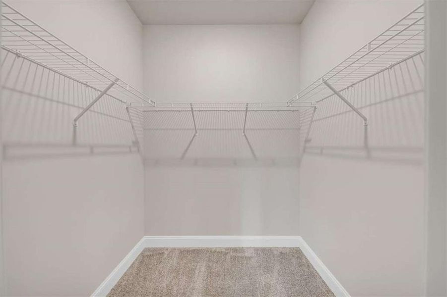Spacious, unfurnished interior of a new home in Scarlett Place, Bowdon (Image 32).
