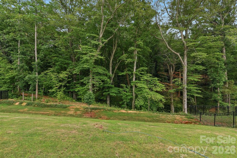 Natural landscape and outdoor views near Falls Cove in Troutman (Image 32). Natural landscape and outdoor views near Falls Cove in Troutman (Image 32).