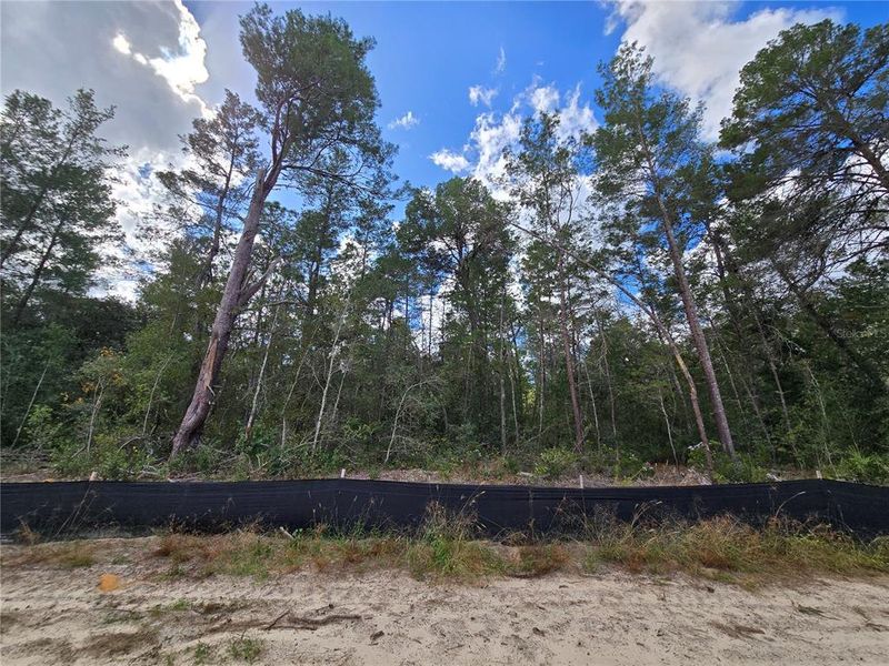 Image 31 of a home in .