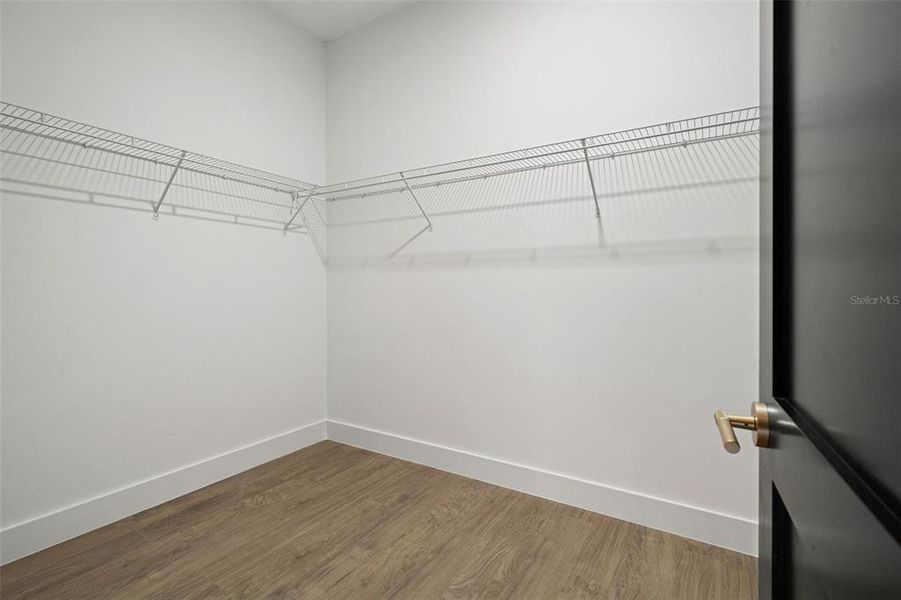 Spacious, unfurnished interior of a new home in , Tampa (Image 46).