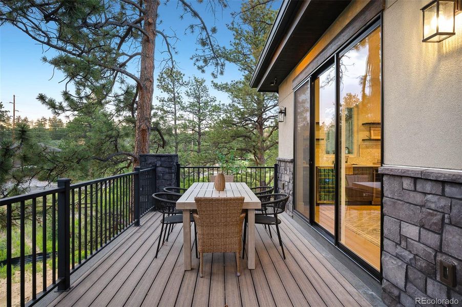 Exterior details and patio area of a home in , Castle Rock (Image 4).
