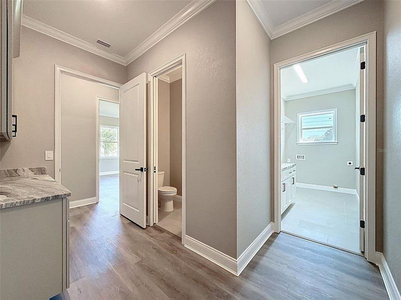 Spacious, unfurnished interior of a new home in , Lakeland (Image 60).