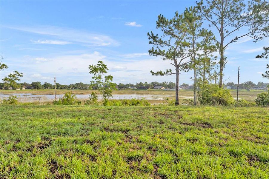 Natural landscape and outdoor views near  in Deltona (Image 29).