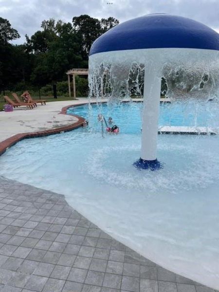Community amenities in , Cumming (Image 22).