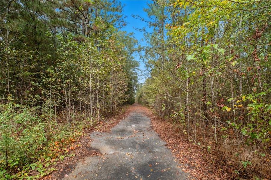 Natural landscape and outdoor views near in Cedartown (Image 19). Natural landscape and outdoor views near in Cedartown (Image 19).