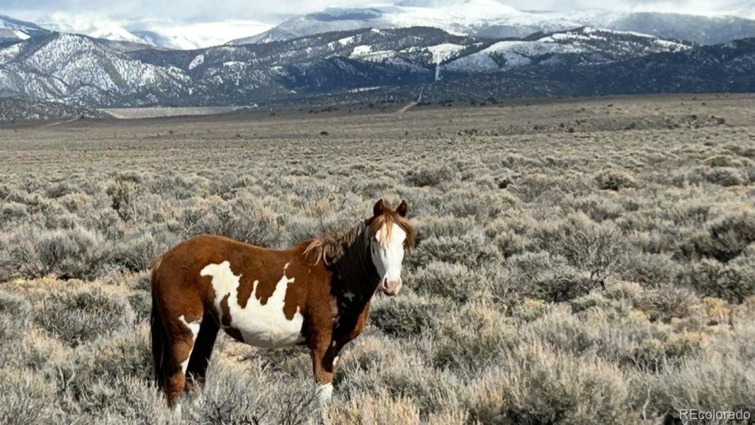 Image 29 of a home in . Image 29 of a home in .