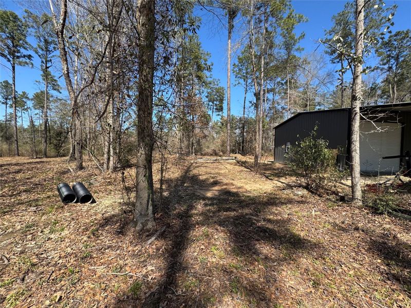 Natural landscape and outdoor views near  in Broaddus (Image 8).
