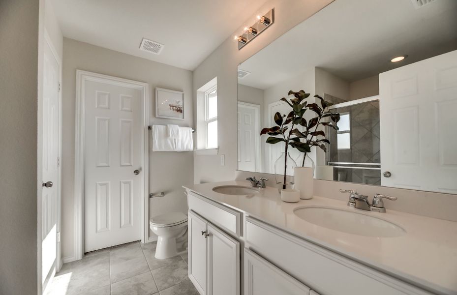 Model Representation- Owner's Bath Model Representation- Owner's Bath