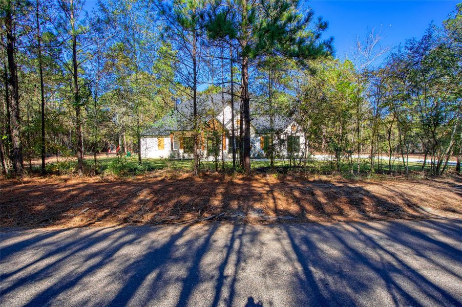 Nice trees to add privacy from the road. Nice trees to add privacy from the road.