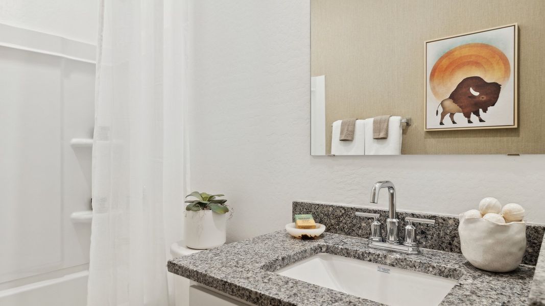 Representative interior finishes for a home built from the Saguaro by D.R. Horton in Anthem at Merrill Ranch, Florence (Image 22).