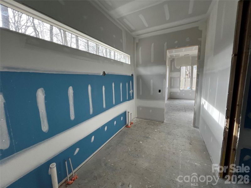 Lower level bathroom