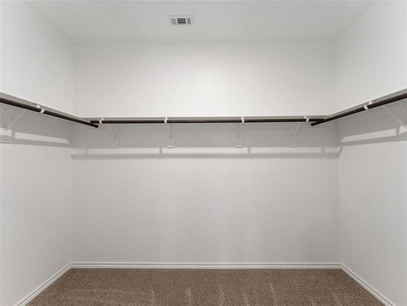 Walk in closet featuring carpet floors