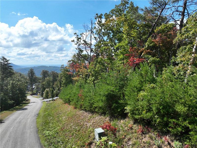 Natural landscape and outdoor views near  in Jasper (Image 9).