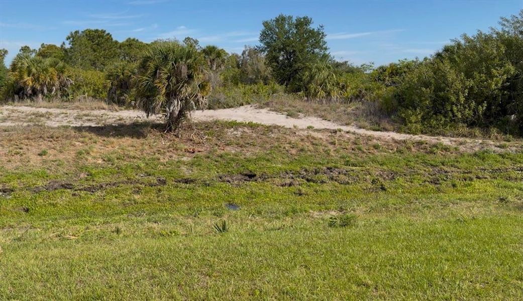 Natural landscape and outdoor views near Port Charlotte in Port Charlotte (Image 10).