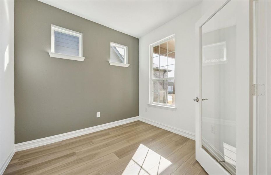 Accent wall in study