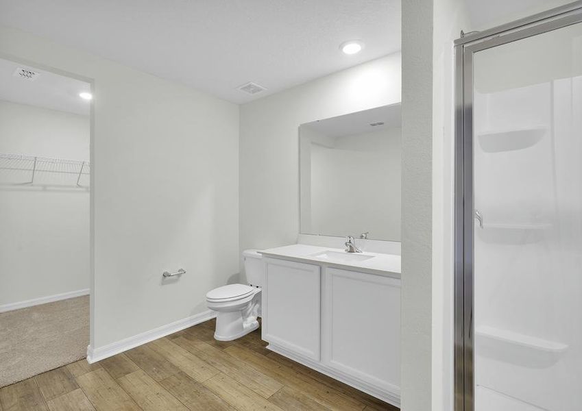 The master bathroom has a large vanity with a walk in shower and large closet