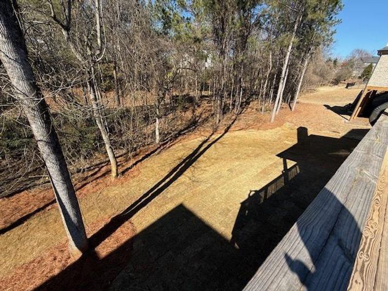 Natural landscape and outdoor views near  in Jefferson (Image 27).
