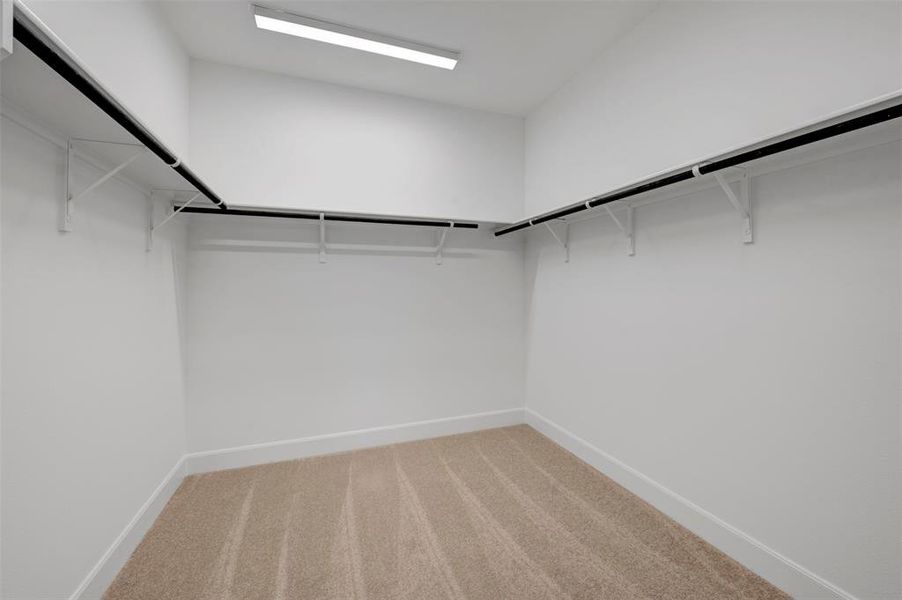 The property features a walk-in closet with carpeted flooring, white walls, and built-in shelving with hanging rods