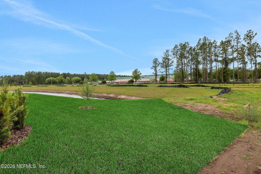 Natural landscape and outdoor views near Amberly in Green Cove Springs (Image 37). Natural landscape and outdoor views near Amberly in Green Cove Springs (Image 37).